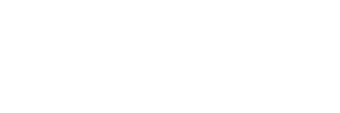Raccoon Workshop